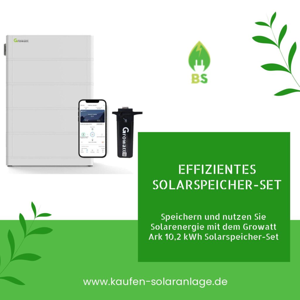 Welche Batterietechnologie ist besser für Ihren Photovoltaik-Speicher?
